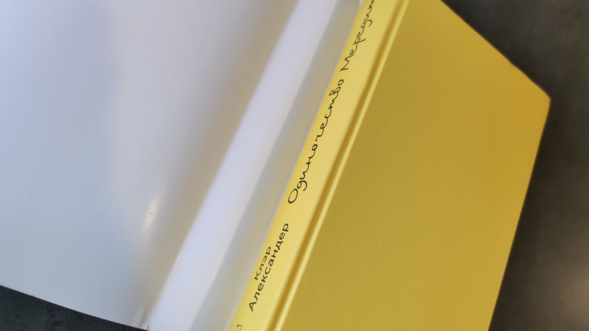 Внутри очень солнечная книга без лишних надписей