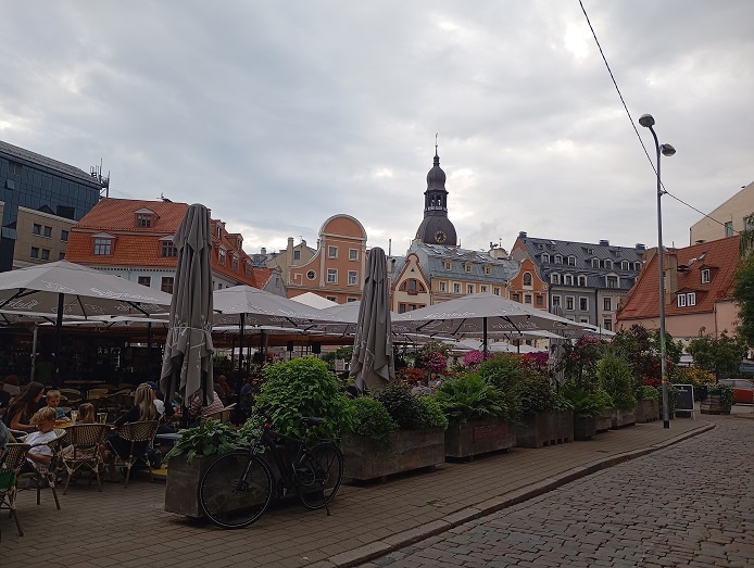 Рига, 23 июля 2024. Фото для иллюстрации. Муравьи бегают в другом месте. 