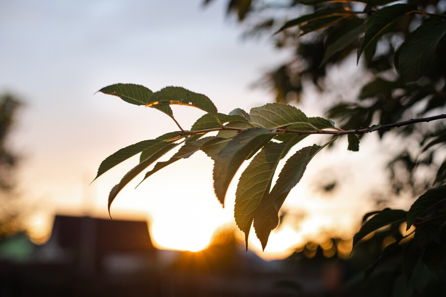 Как же сладко иногда бывает потерять счёт времени, занимаясь тем, что нравится...
Автор изображения: user15285612