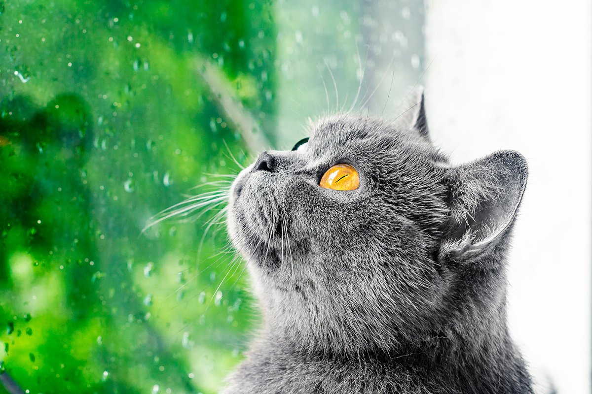    Фото: Super8 / Shutterstock.com