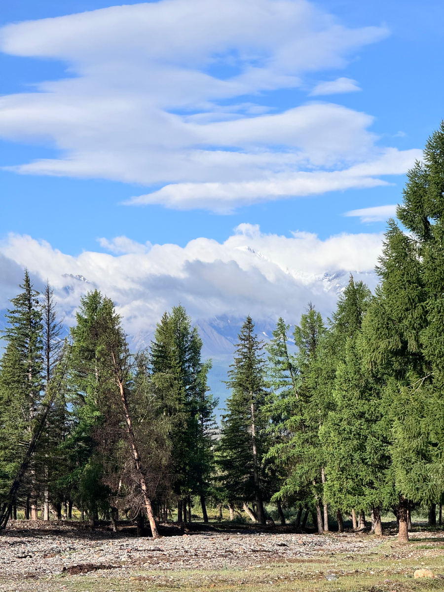 Виды с базы