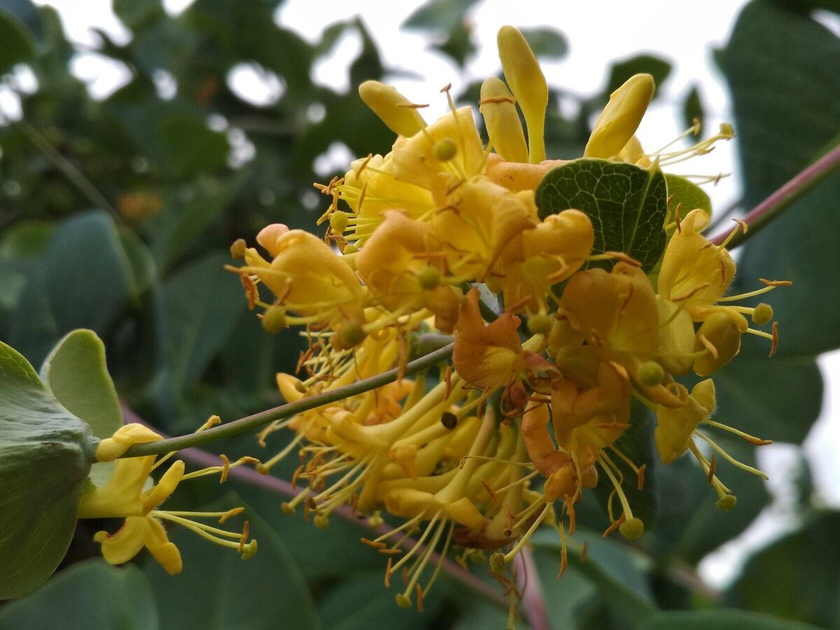 Фото автора канала