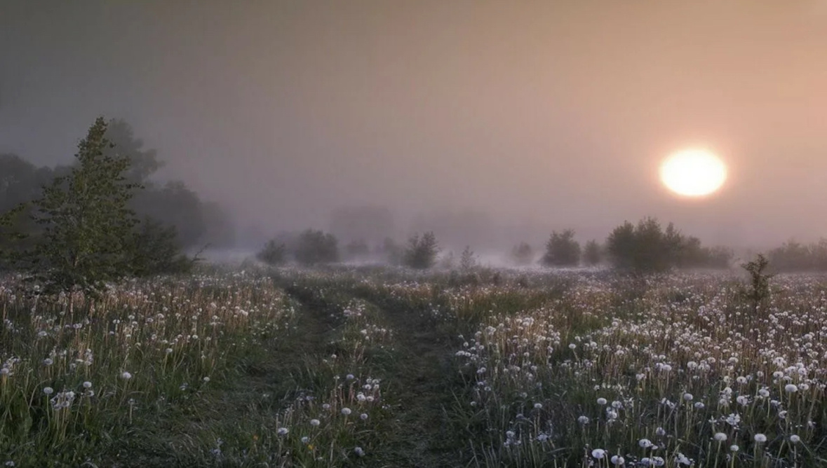 Фото из интернета