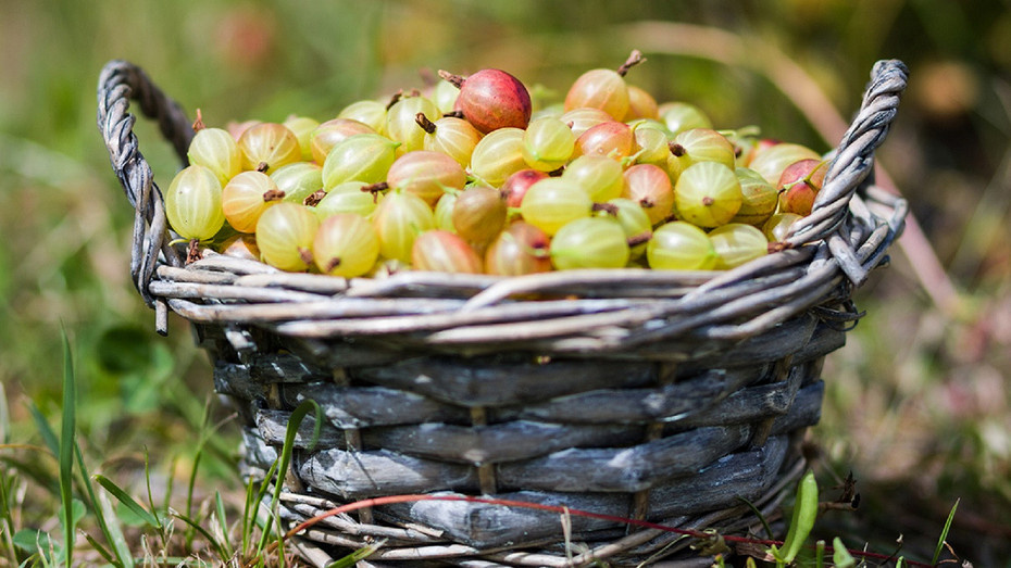     Источник: здесь и далее ShutterStock/Fotodom.ru
