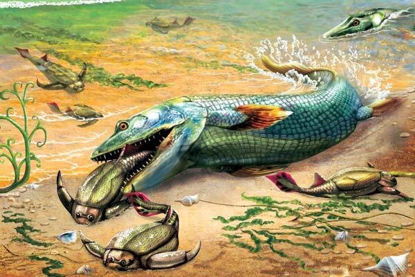 Фантастическое представление дарвинистов о выходе рыб на сушу.