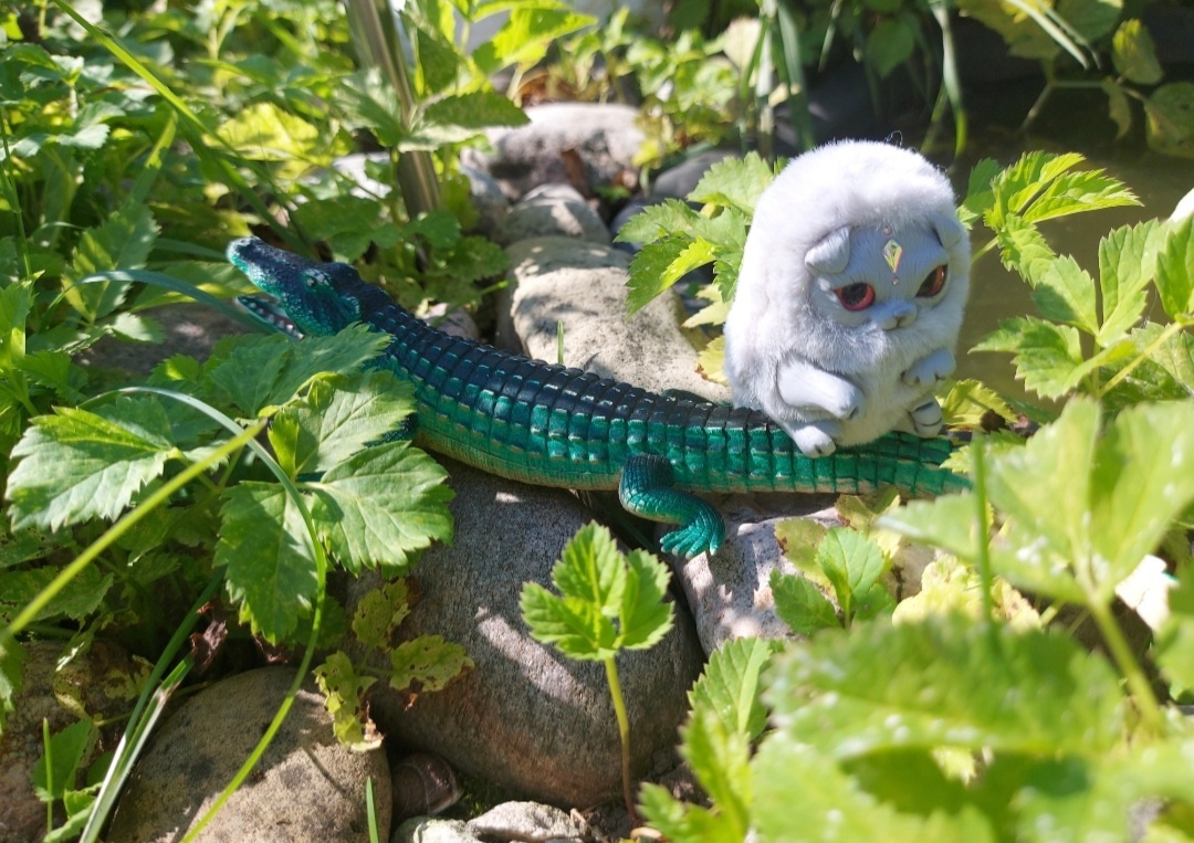 Опасная ситуация для котенка