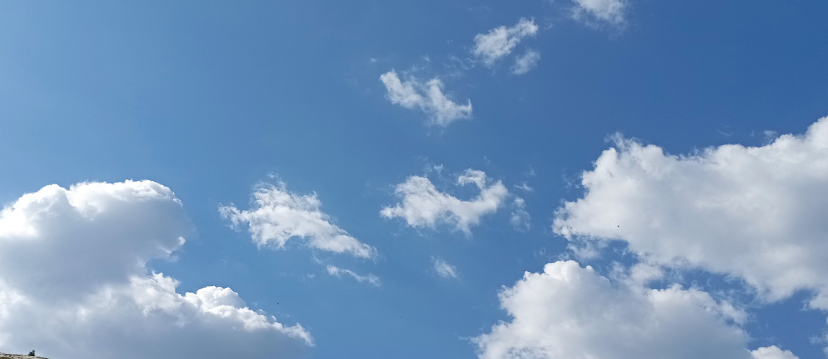 Июльское небо над Ваганьковским кладбищем. Здесь и далее фото автора или из личного архива автора, если не указано. иначе.