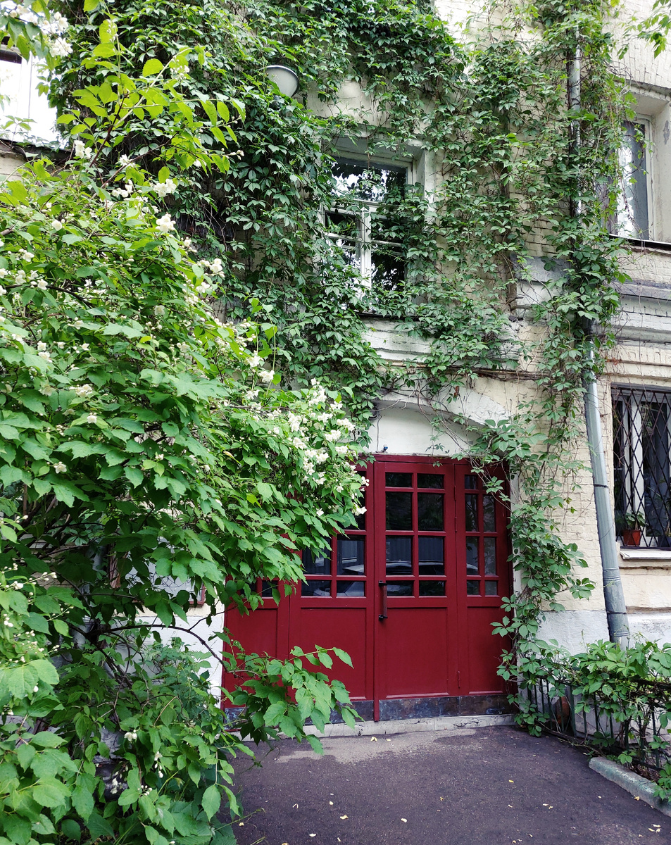 фото автора ТГ канала Нюсины прогулки 