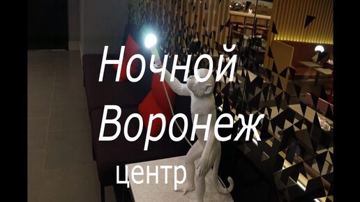 ночной Воронеж