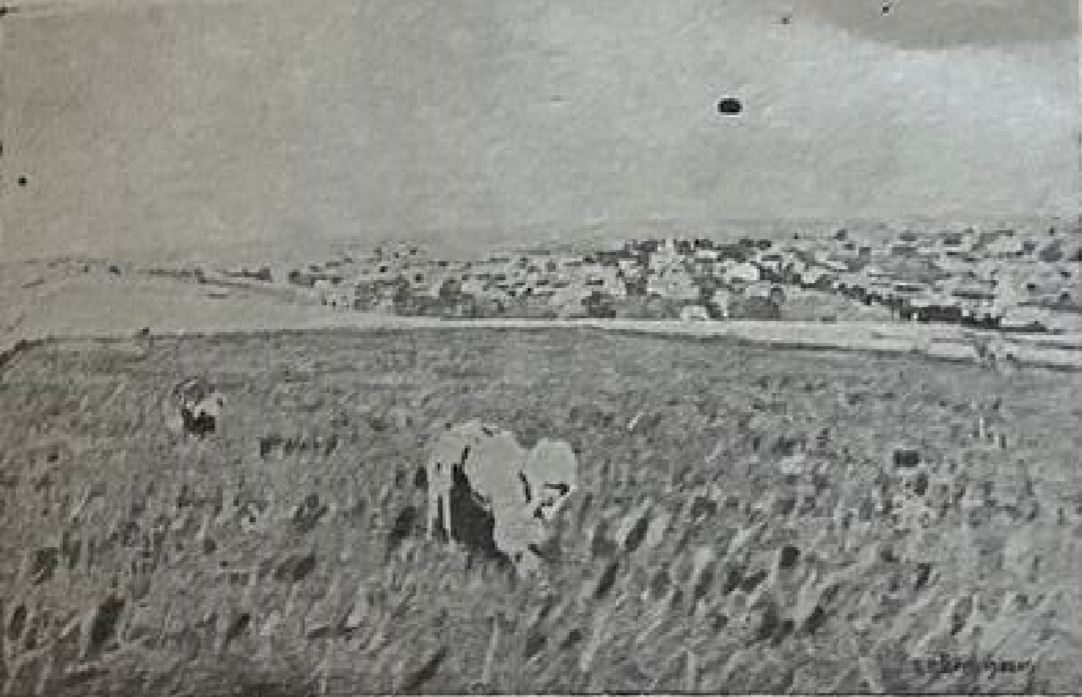 В поле. 1928г.