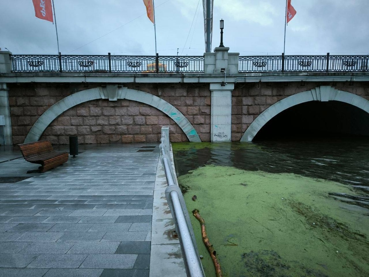 Новая набережная вот-вот уйдет под воду
