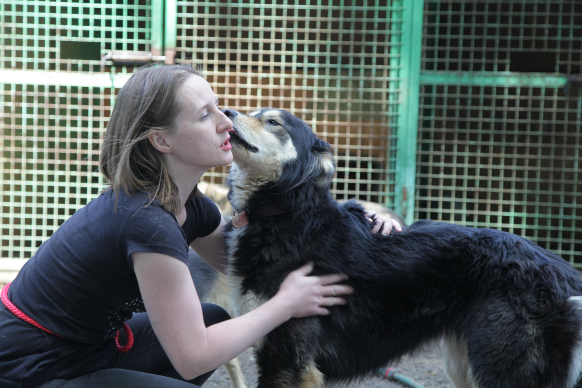 А потом да, как без собак?:)