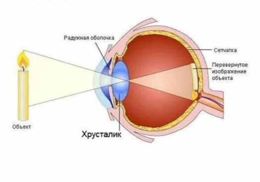 Из ЯндексКартинок 