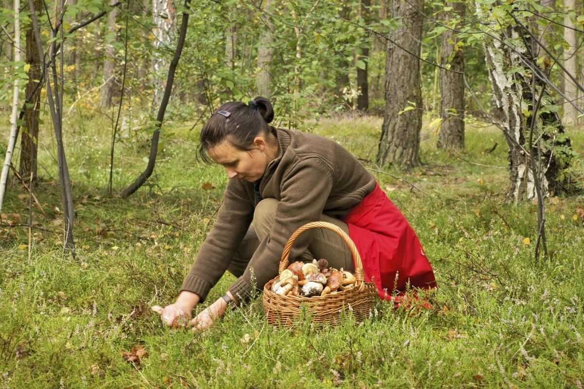 женщина в лесу