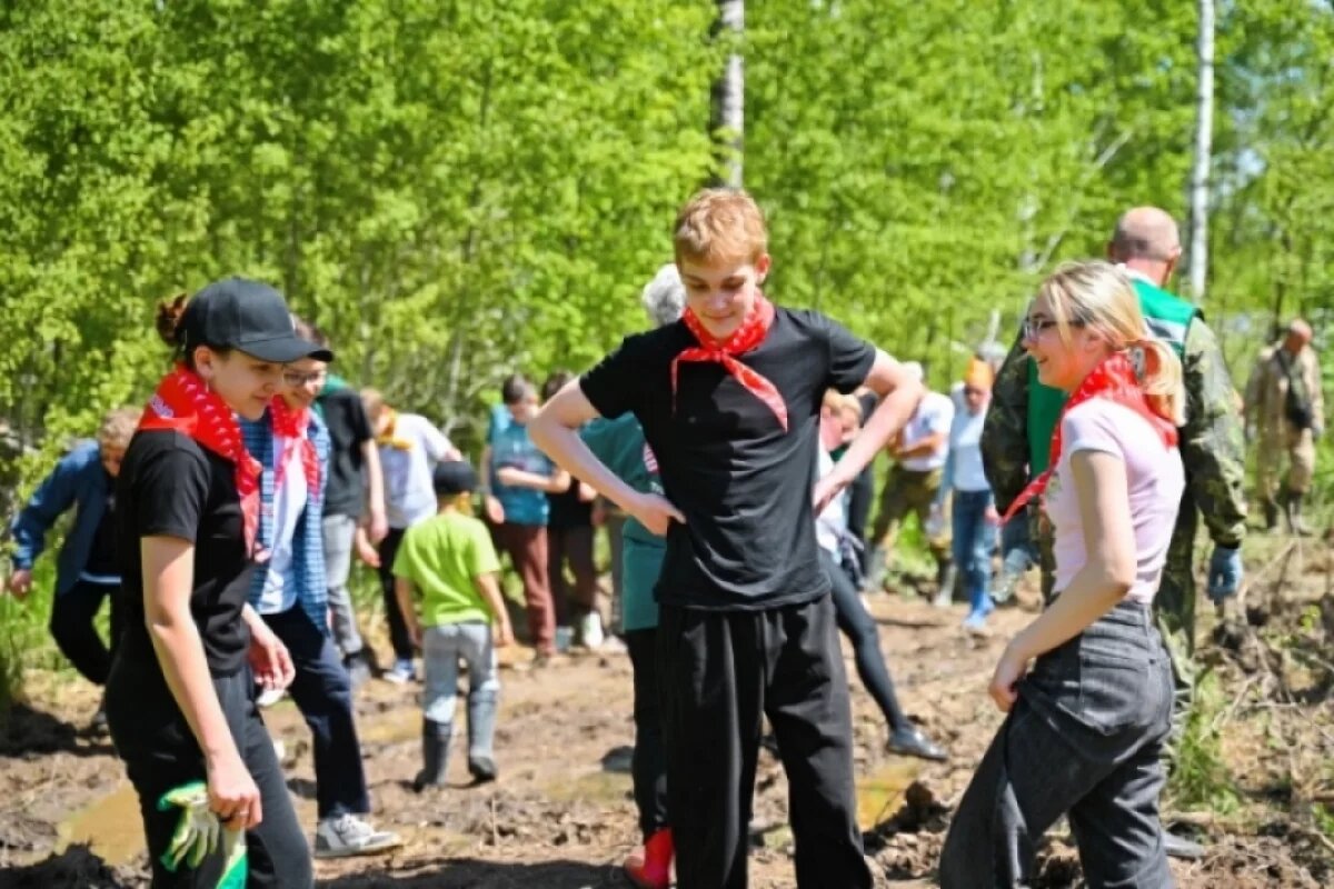    12 тысяч саженцев в память о погибших в ВОВ высадили в Хабаровском крае
