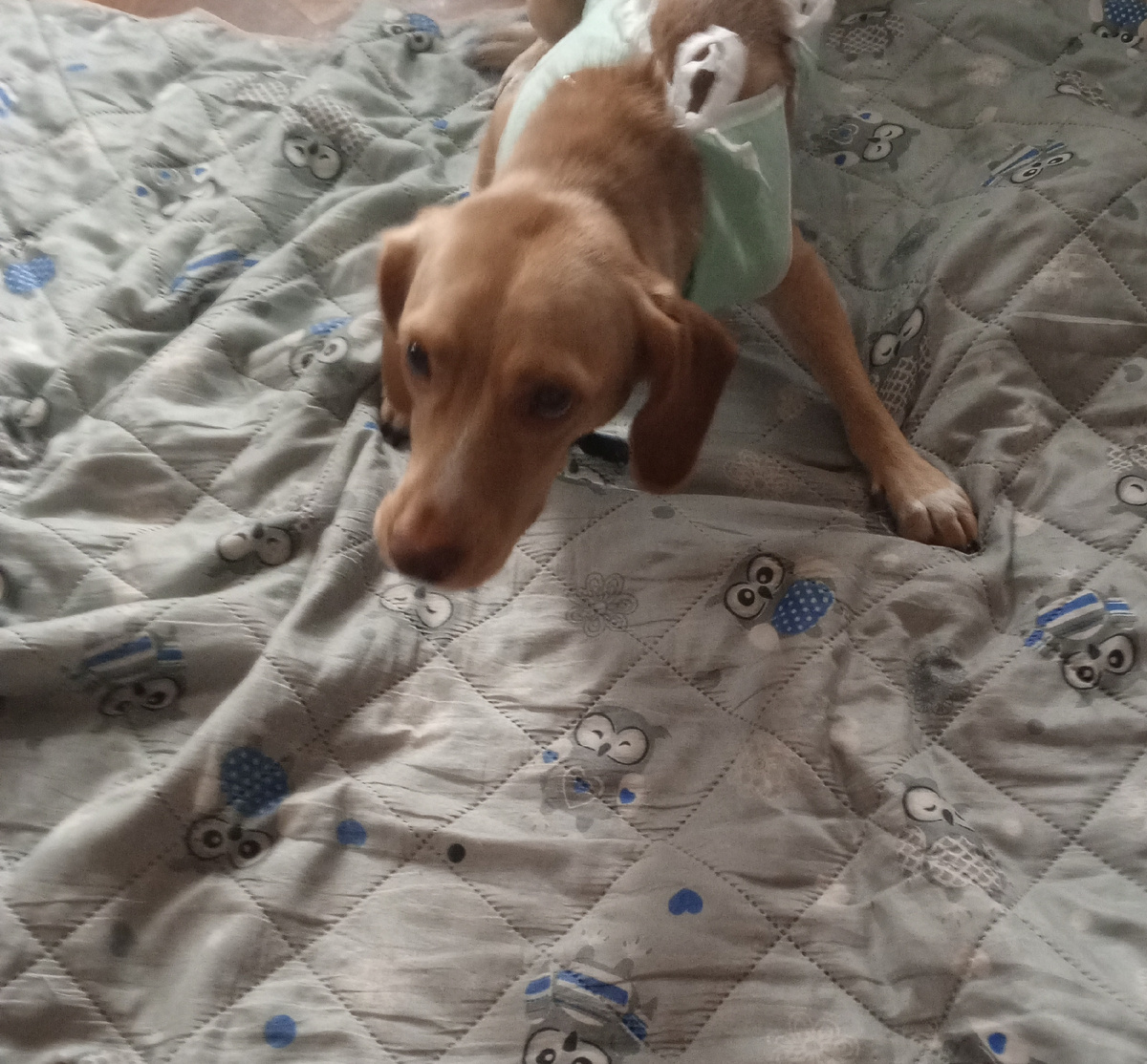 Ползет ко мне жаловаться