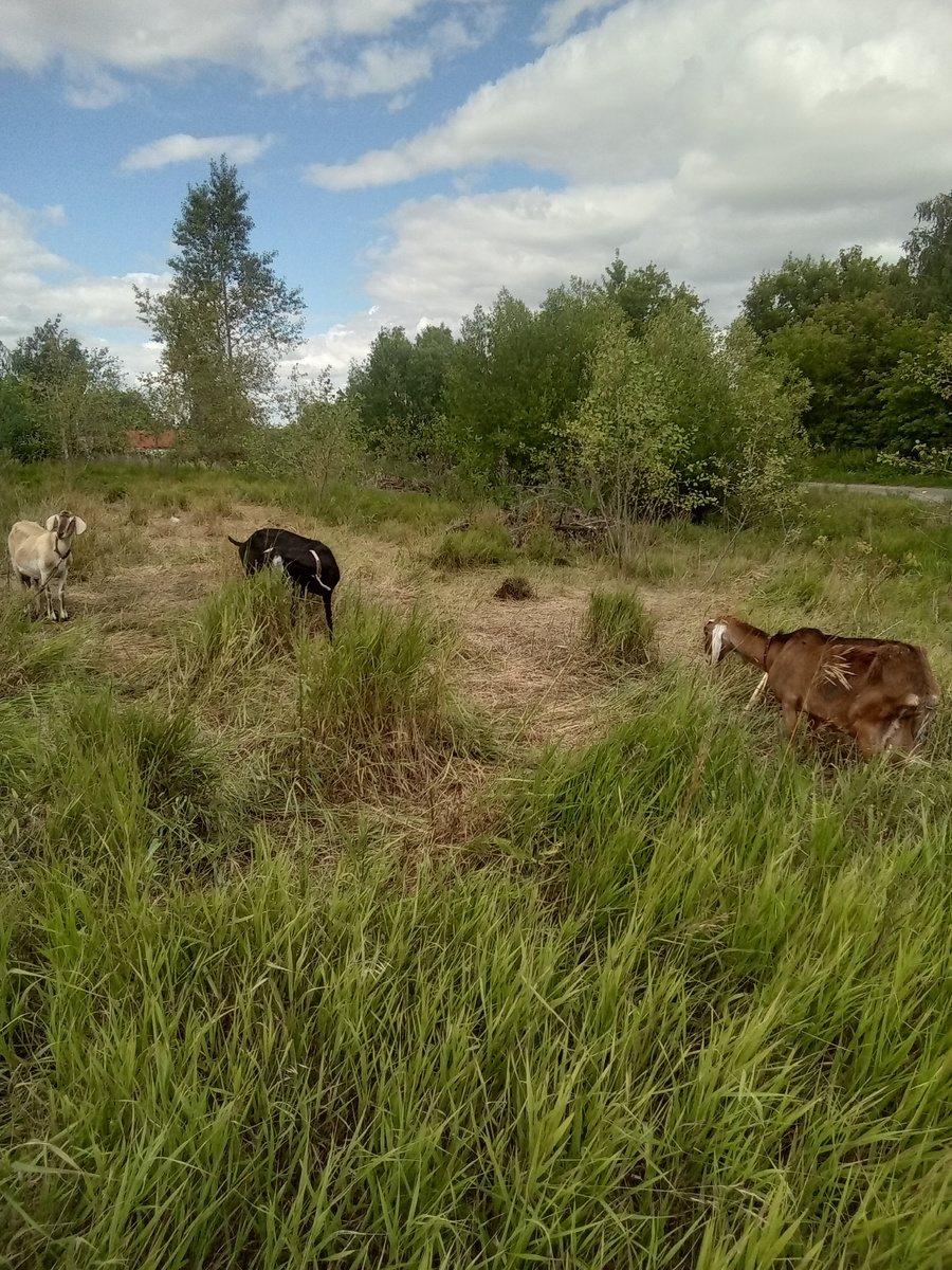 Фото автора. 