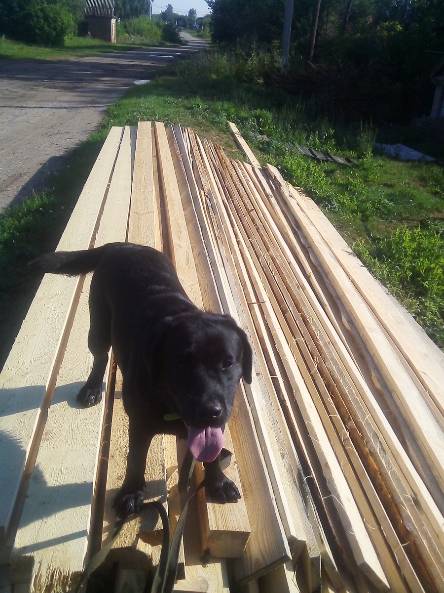 Фото автора. 