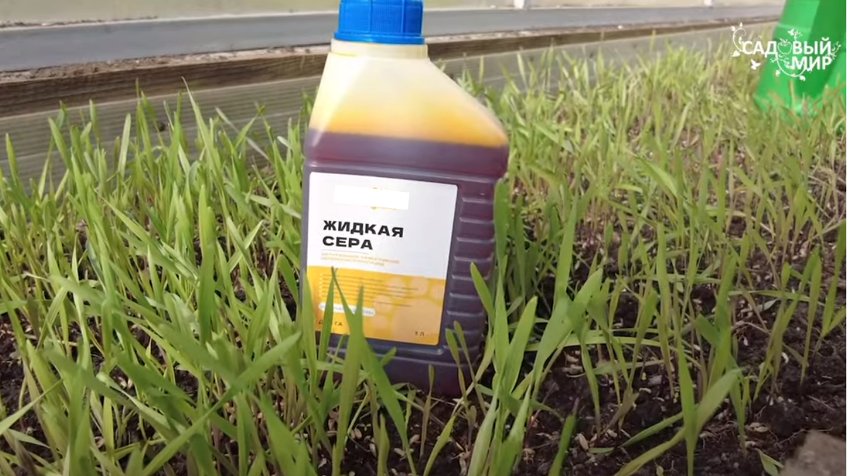 жидкая сера для растений, использование