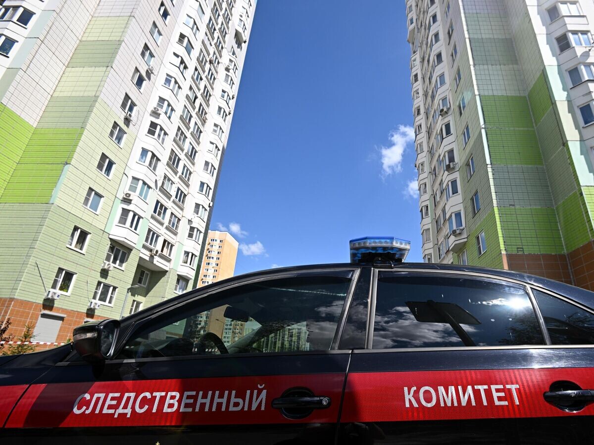    Автомобиль СК РФ© РИА Новости / Сергей Бобылев