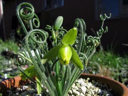 Фото из интернета.