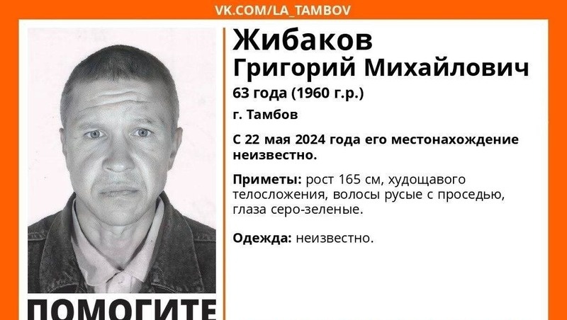      Фото: ПСО «ЛизаАлерт»