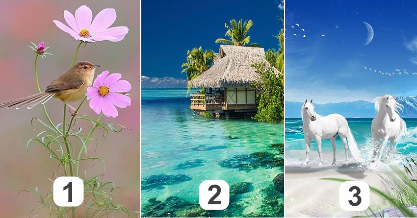 Выберите одну картинку