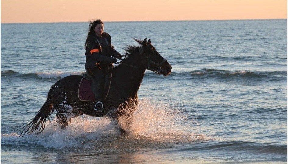 Отпуск в посёлке Джемете под Анапой: стоимость отдыха, развлечения и пляжи