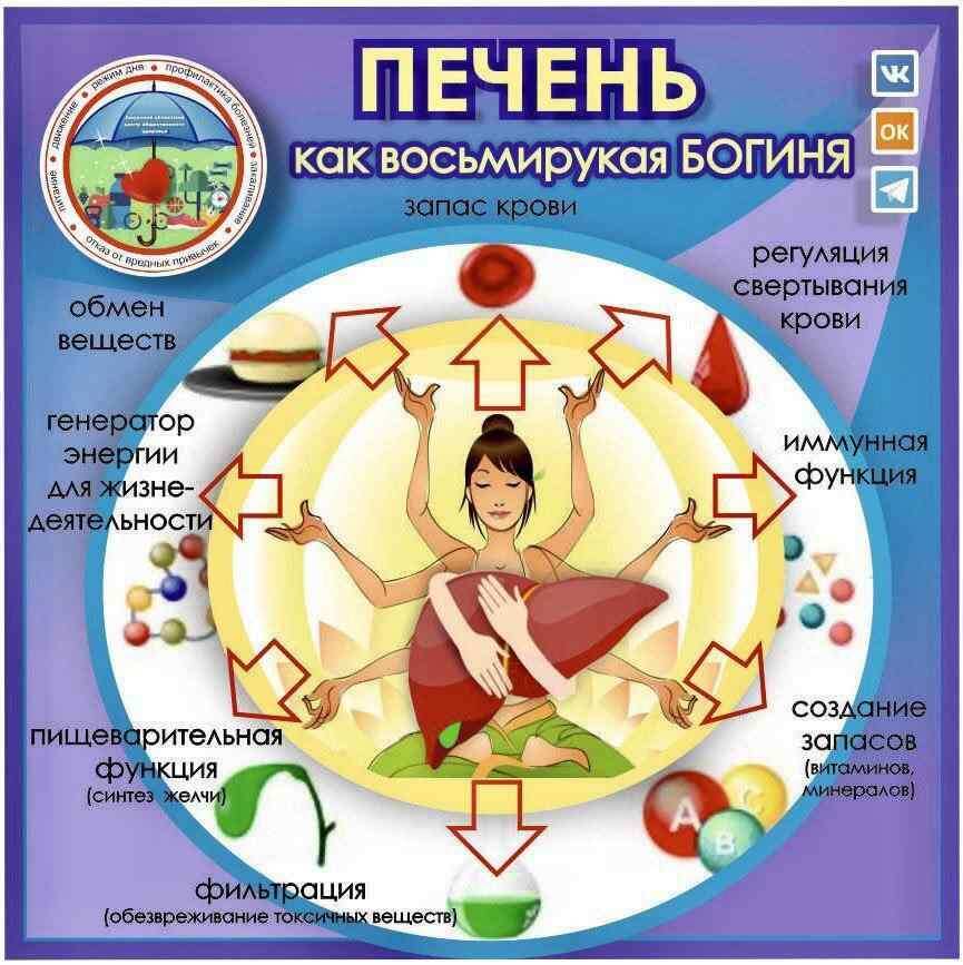   Фото: Амурский областной центр общественного здоровья и медицинской профилактики