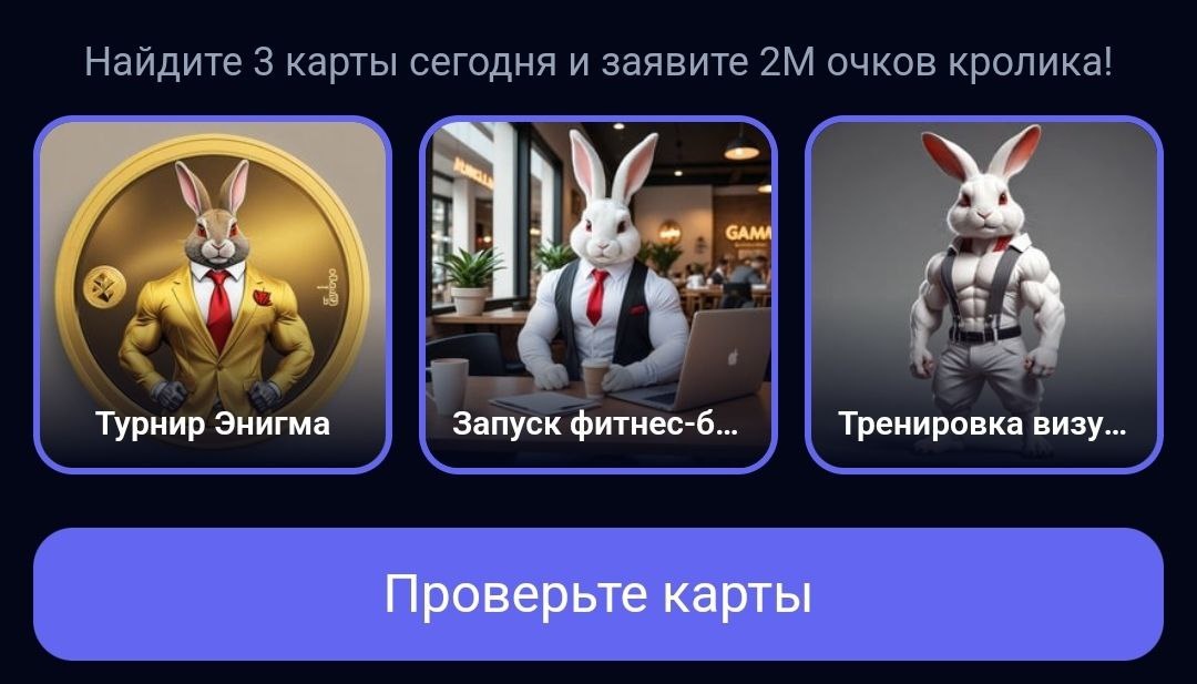 Комбо в Rocky Rabbit на 28.07.2024 г.