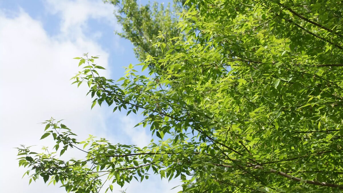     Источник: 1MI