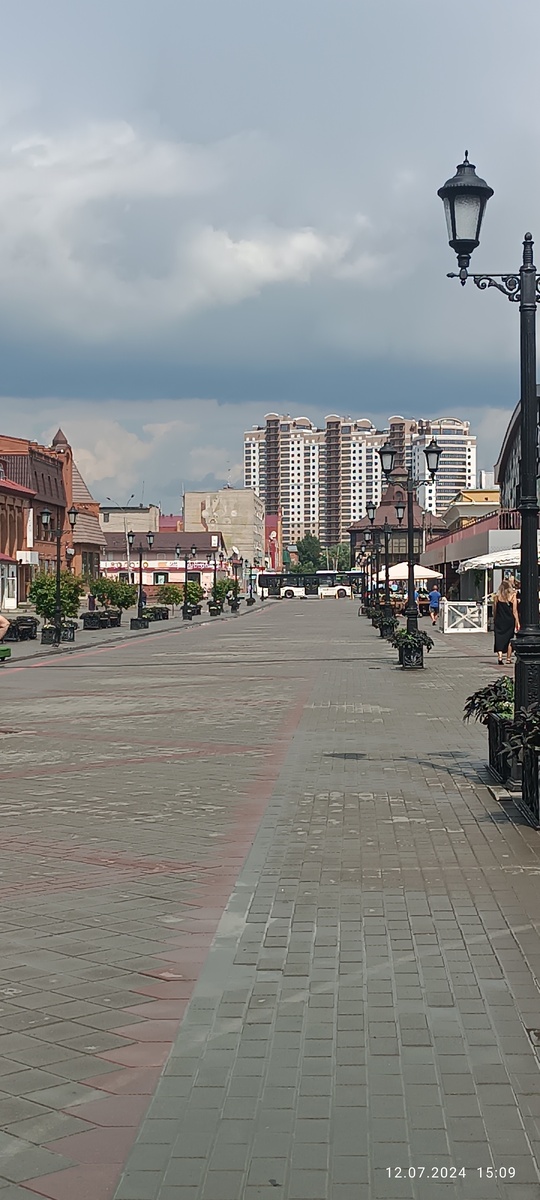 На просторах моего города. Фотография автора, июль 2024 года. 