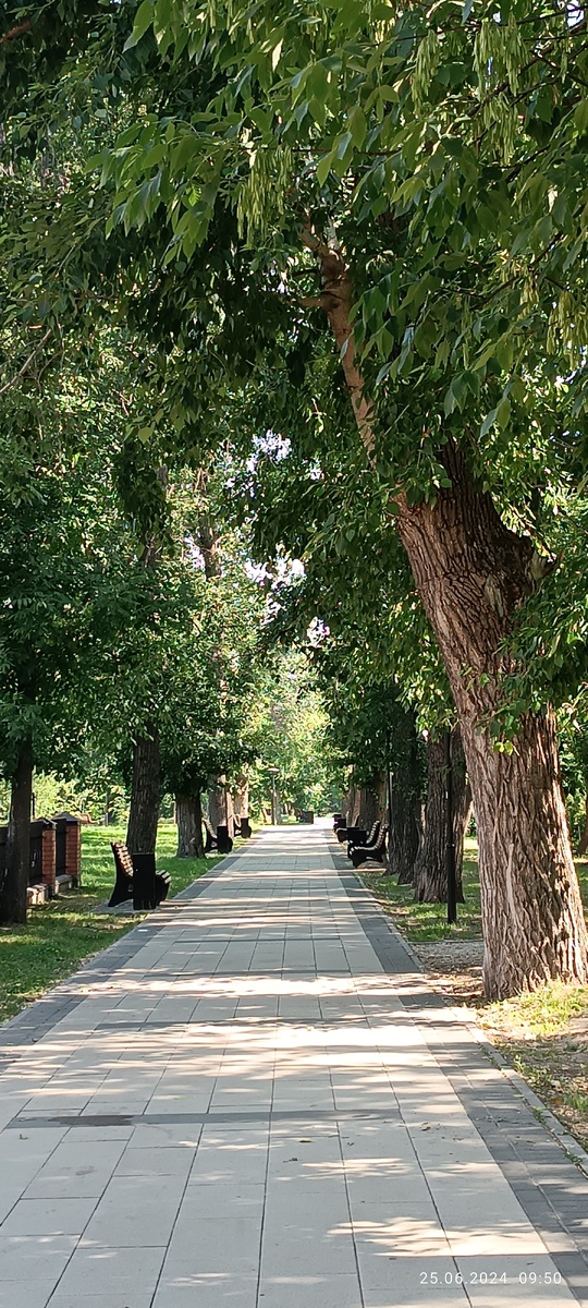 Где-то на просторах моего города. Фотография автора, июнь 2024 года. 