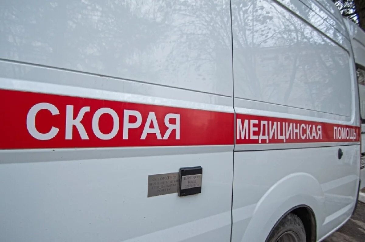    В Новосибирской области змея дважды укусила мужчину в ногу
