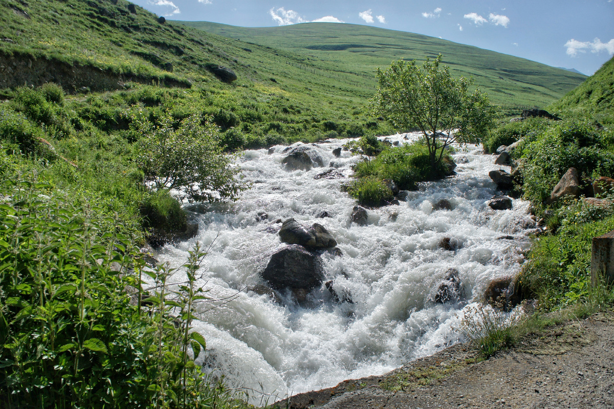 Река Даргонком, на которой стоял наш первый лагерь →