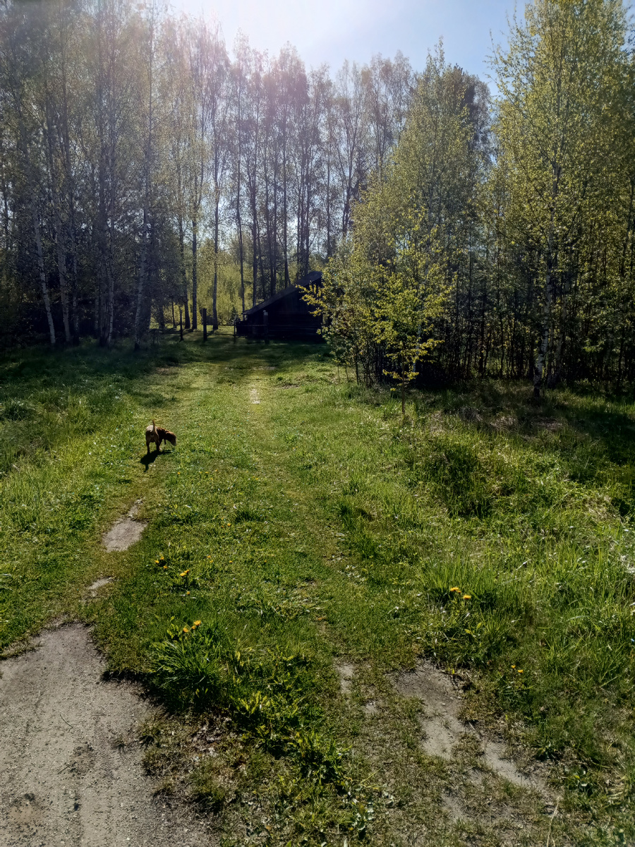 Фото автора