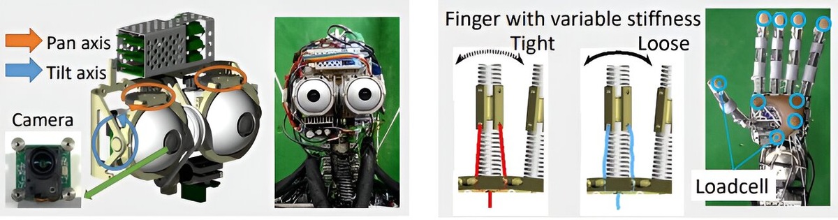 Фото: Токийский университет