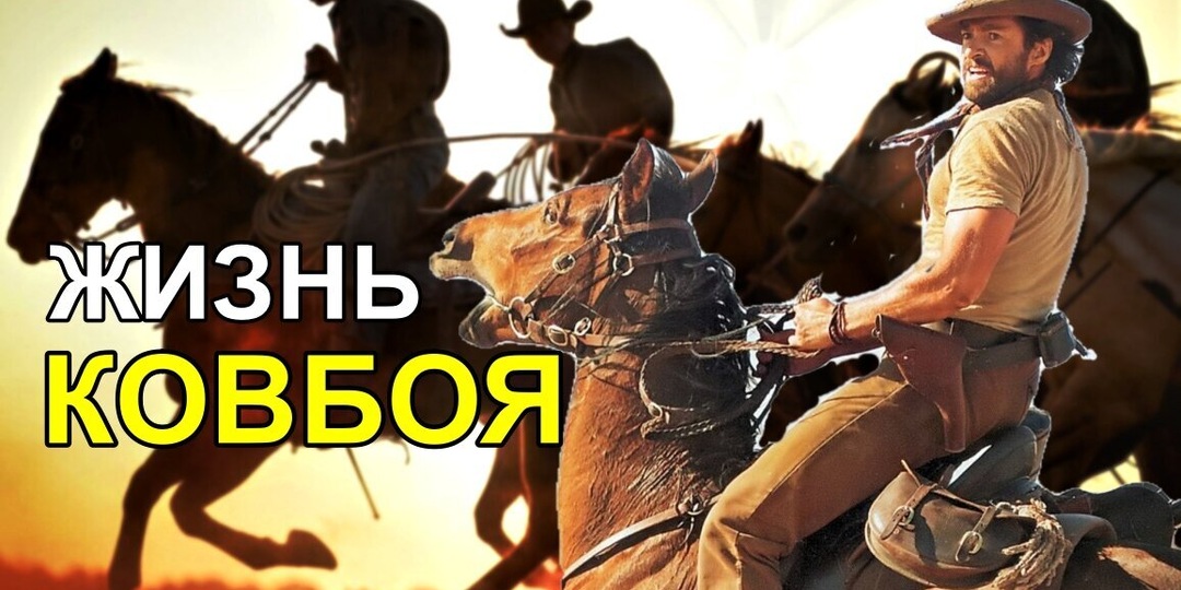 Если бы вы стали Ковбоем на один день: работа за копейки и никакой романтики