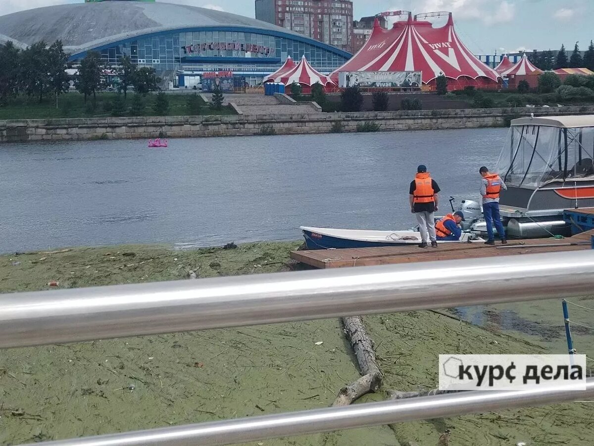     Источник: kursdela.biz