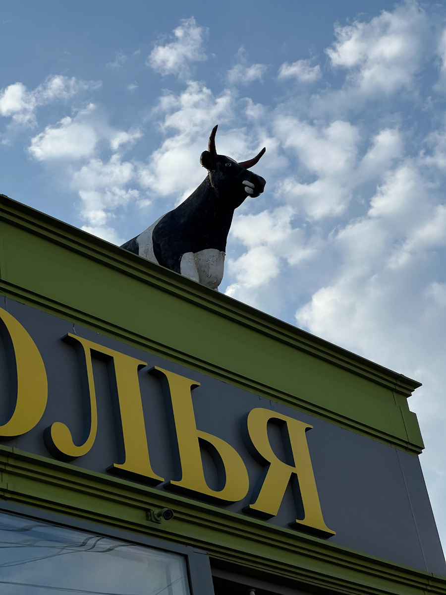 Корова  на крыше магазина.