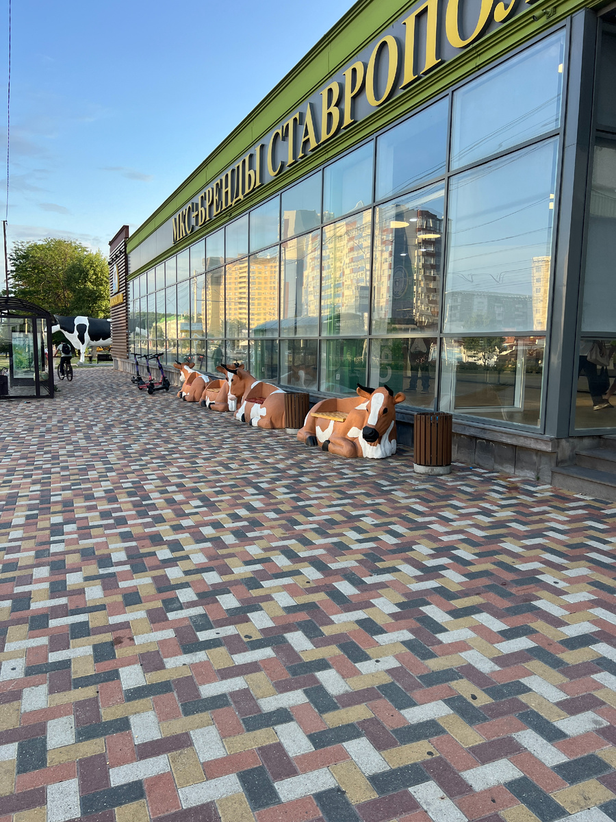 Рядом с магазином три лавочки в виде  бурёнок.