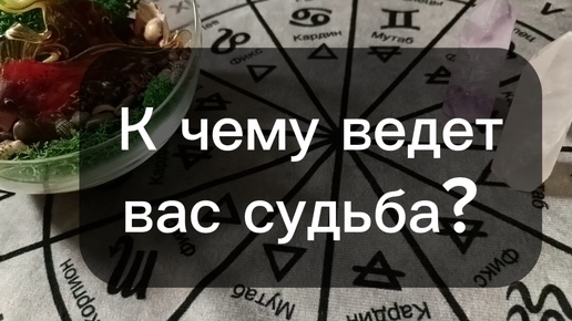 К чему ведет вас судьба? Гадание на Таро для всех, для мужчин и женщин на будущее и судьбу