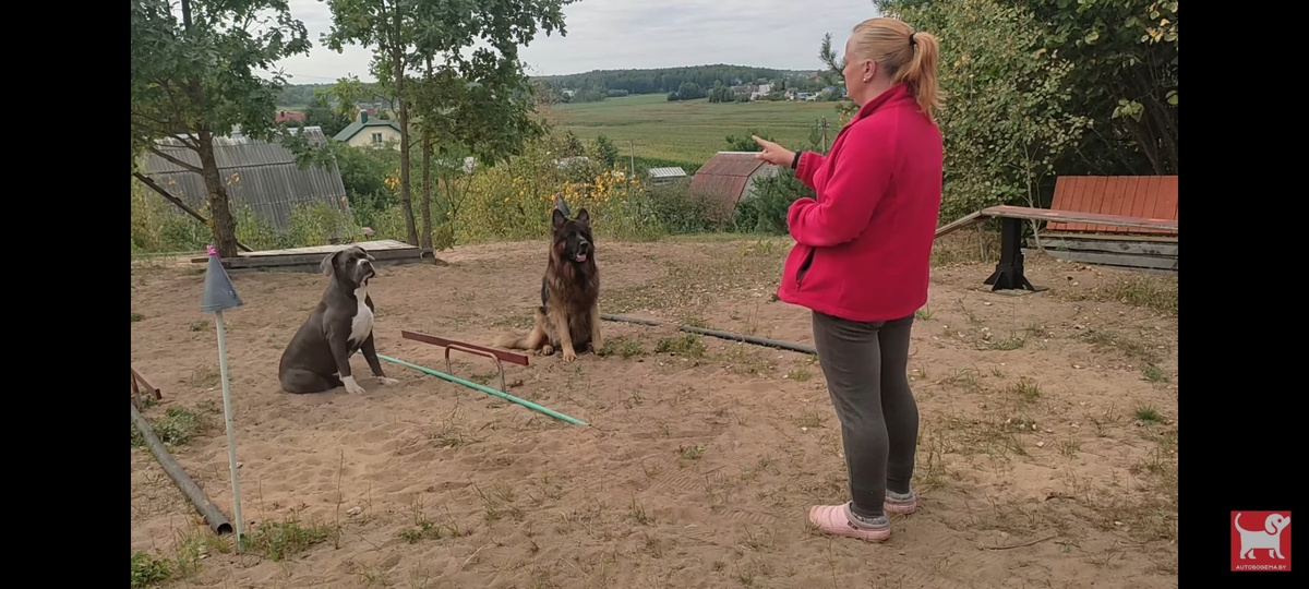 Моя площадка. Начало )))