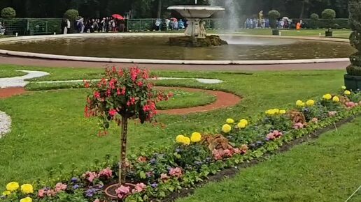 Второй день в Санкт-Петербурге. Петергоф