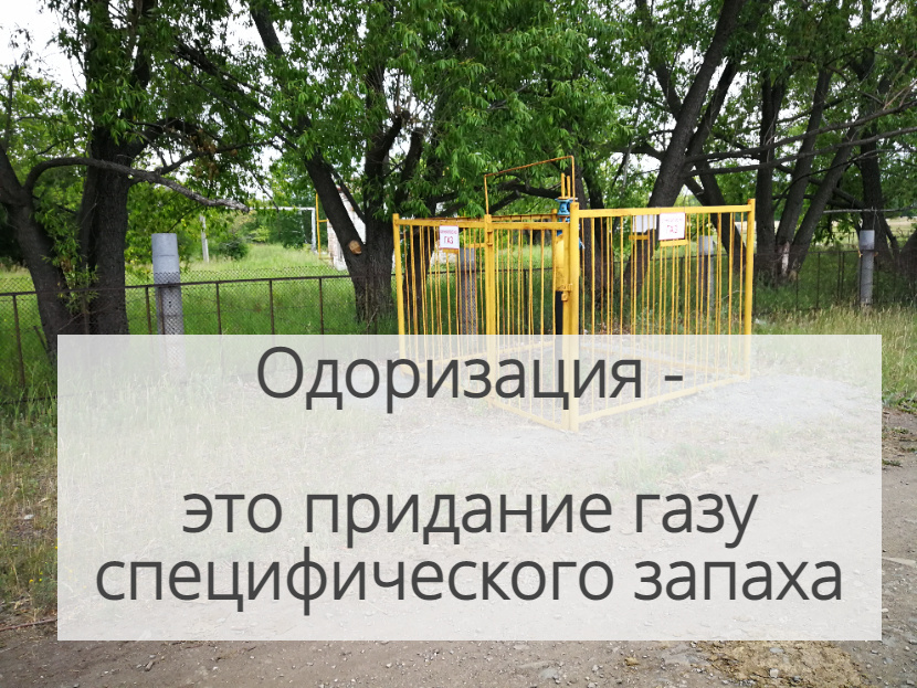 Добавьте описание