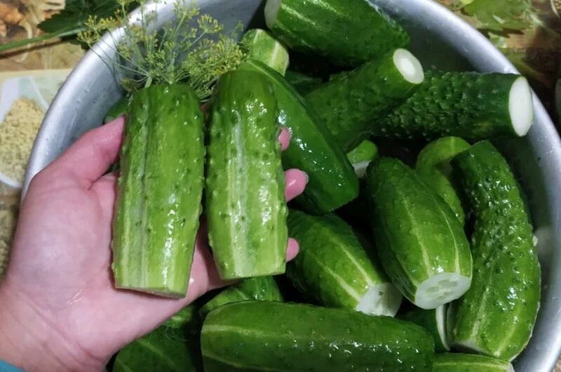 Готовлю бочковые огурцы по старинному рецепту. Огурцы хрустящие и вкусные, как раньше