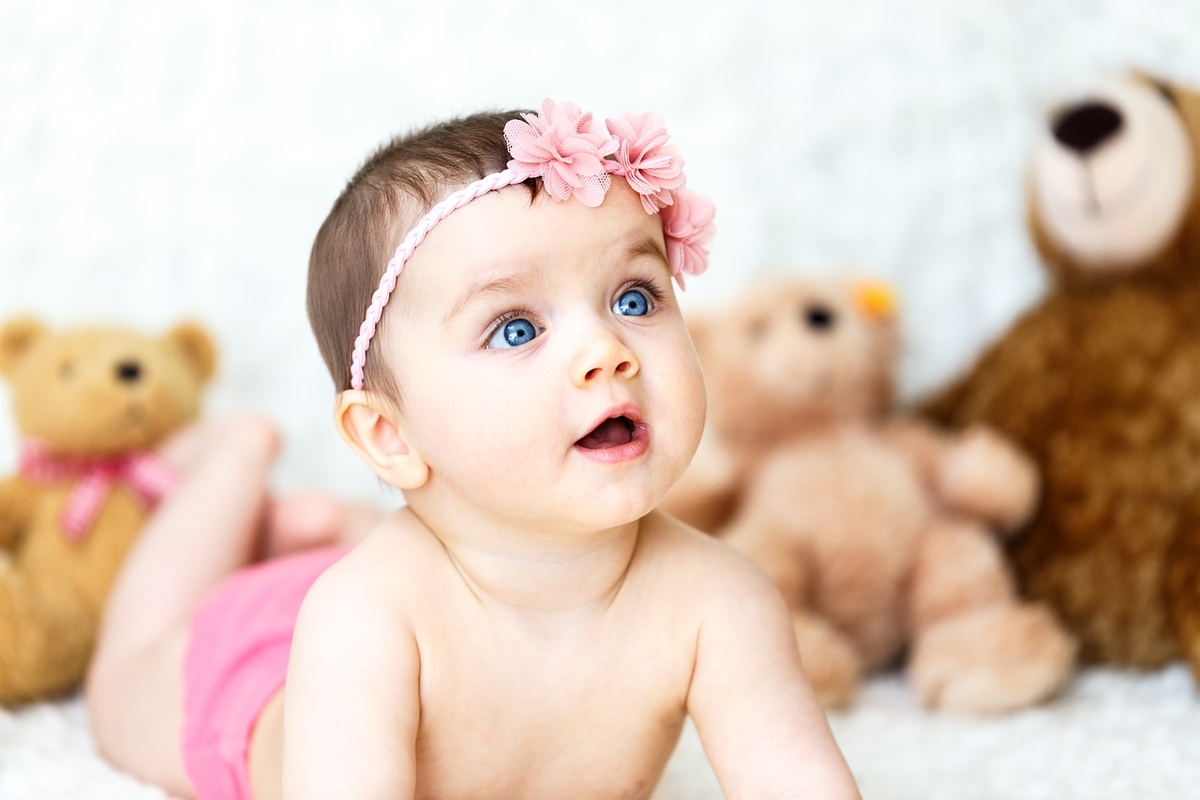 Изображение с сайта Pixabay