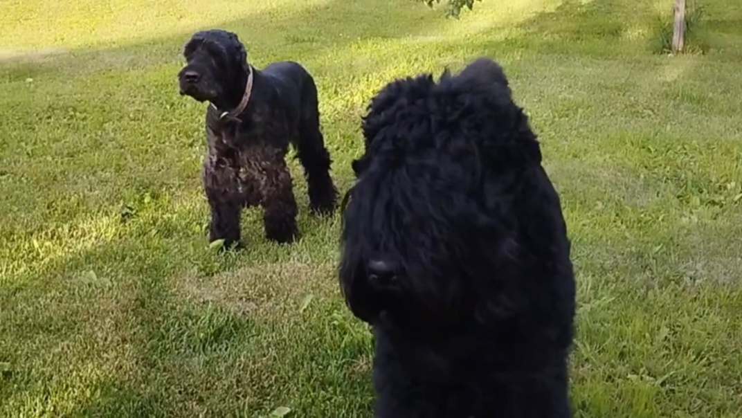 А попробуй не прими такую!