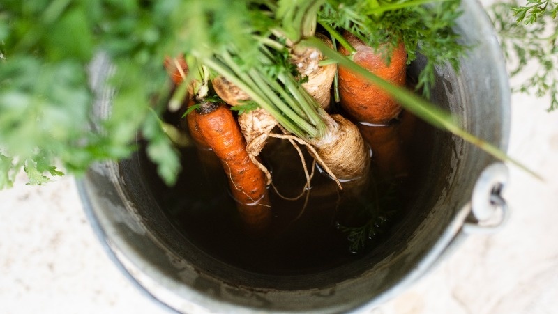 Фото: @freepik / freepik.com