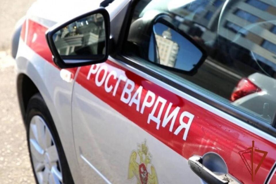    Росгвардия. Источник: 22.rosguard.gov.ru